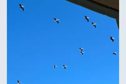 3703 S Atlantic Avenue #504, Daytona Beach, FL 32118 - Photo 19