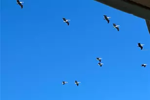 3703 S Atlantic Ave, Daytona Beach, FL 32118 - Photo 19