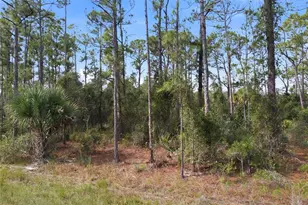 Einstein St, North Port, FL 34291 - Photo 1