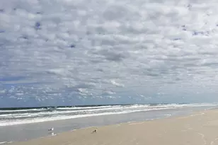 257 Golf Club Dr, New Smyrna Beach, FL 32168 - Photo 63