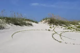 2815 Bay Side Dr, New Smyrna Beach, FL 32168 - Photo 83