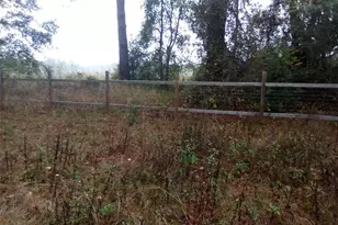 44721 Forest View Rd, Deland, FL 32720 - Photo 17