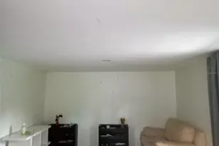 44721 Forest View Rd, Deland, FL 32720 - Photo 11