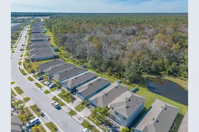 356 Caryota Court, New Smyrna Beach, FL 32168 - Photo 41