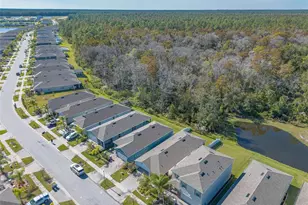 356 Caryota Ct, New Smyrna Beach, FL 32168 - Photo 41