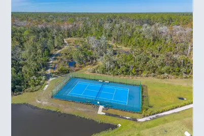 356 Caryota Court, New Smyrna Beach, FL 32168 - Photo 43
