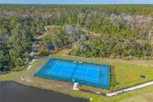 356 Caryota Ct, New Smyrna Beach, FL 32168 - Photo 43