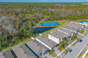 356 Caryota Ct, New Smyrna Beach, FL 32168 - Photo 35