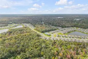 1743 Red Rock Rd, New Smyrna Beach, FL 32168 - Photo 59