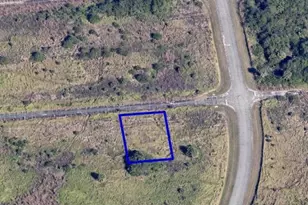 1018 Dorinda St SW, Palm Bay, FL 32908 - Photo 1