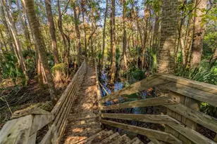 1985 Rutgers Pl, Port Orange, FL 32128 - Photo 53