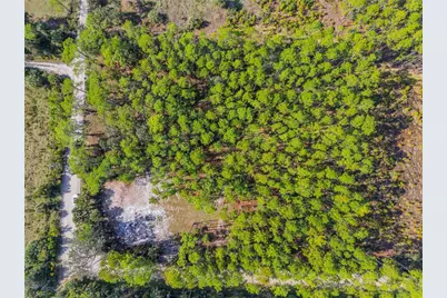 490 S Samsula Drive, New Smyrna Beach, FL 32168 - Photo 13