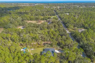 4050 Golden Shores Blvd, Mims, FL 32754 - Photo 47