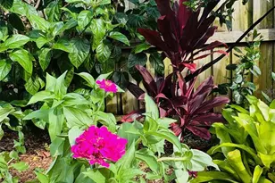 4618 Katy Dr, New Smyrna Beach, FL 32169 - Photo 37