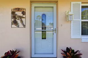 3314 Travelers Palm Dr, Edgewater, FL 32141 - Photo 57