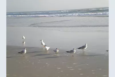 525 Mill Run Drive, New Smyrna Beach, FL 32168 - Photo 35