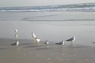 525 Mill Run Dr, New Smyrna Beach, FL 32168 - Photo 35