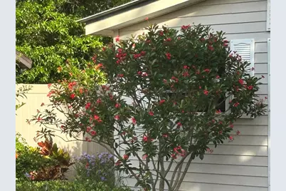 810 E 9th Avenue, New Smyrna Beach, FL 32169 - Photo 45