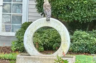 810 E 9th Ave, New Smyrna Beach, FL 32169 - Photo 47