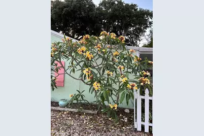 1711 Magnolia Street, New Smyrna Beach, FL 32168 - Photo 53