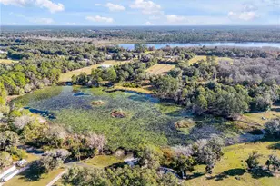 420 Roberts Rd, Pierson, FL 32180 - Photo 19