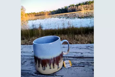 1045 Buckles Road, Pierson, FL 32180 - Photo 17