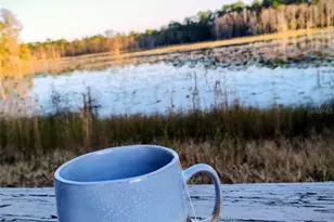 1045 Buckles Rd, Pierson, FL 32180 - Photo 17