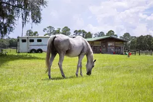 1045 Buckles Rd, Pierson, FL 32180 - Photo 21