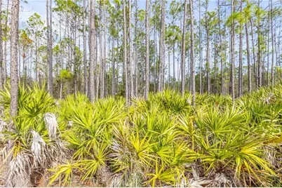 71 River Strand Lane, Saint Augustine, FL 32084 - Photo 57