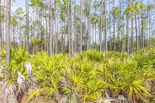 71 River Strand Ln, Saint Augustine, FL 32084 - Photo 57