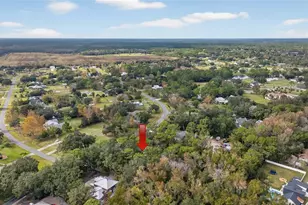 310 Country Cir Dr W, Port Orange, FL 32128 - Photo 47