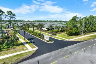 3048 Borassus Dr, New Smyrna Beach, FL 32168 - Photo 3