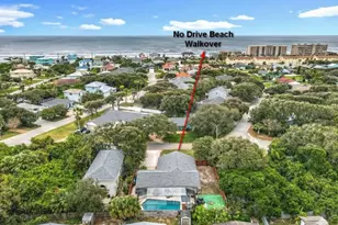 4748 Dixie Dr, Ponce Inlet, FL 32127 - Photo 3