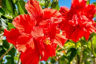 3800 Saxon Dr, New Smyrna Beach, FL 32169 - Photo 51