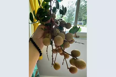 357 S Seneca Boulevard, Daytona Beach, FL 32114 - Photo 47