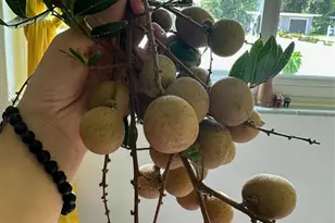 357 S Seneca Blvd, Daytona Beach, FL 32114 - Photo 47