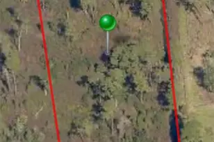 Quail Nest Ln, New Smyrna Beach, FL 32168 - Photo 1