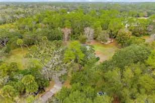 1391 Scarlett Trail, New Smyrna Beach, FL 32168 - Photo 95