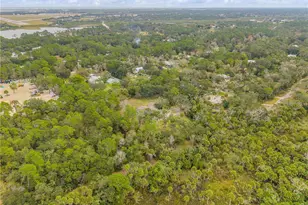 1391 Scarlett Trail, New Smyrna Beach, FL 32168 - Photo 99