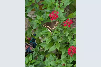 1798 Hideaway Lane, Edgewater, FL 32132 - Photo 95