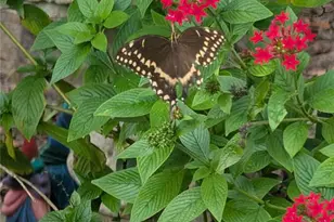 1798 Hideaway Ln, Edgewater, FL 32132 - Photo 95