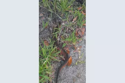 1798 Hideaway Lane, Edgewater, FL 32132 - Photo 93