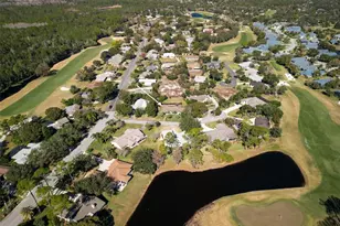 1083 Button Bush Pl, New Smyrna Beach, FL 32168 - Photo 65