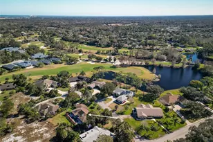 1083 Button Bush Pl, New Smyrna Beach, FL 32168 - Photo 61