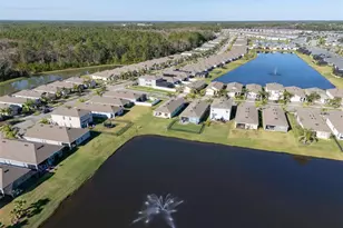 3124 Areca Ave, New Smyrna Beach, FL 32168 - Photo 31