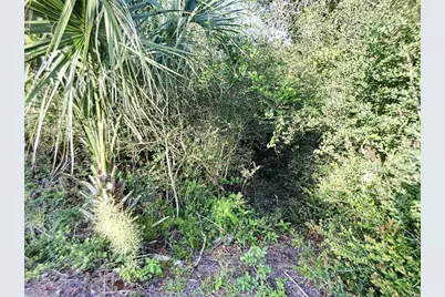 4148 Michigan Avenue, New Smyrna Beach, FL 32169 - Photo 9