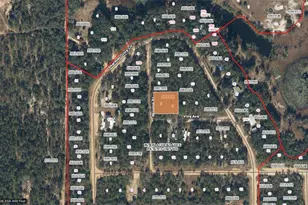 Winston, Interlachen, FL 32148 - Photo 1