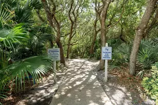 4401 Sea Mist Dr, New Smyrna Beach, FL 32169 - Photo 37