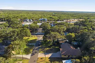 646 Yupon Ave, New Smyrna Beach, FL 32169 - Photo 33
