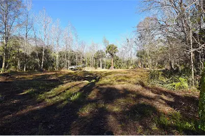 4721 Lingo Grove Road, Edgewater, FL 32141 - Photo 7